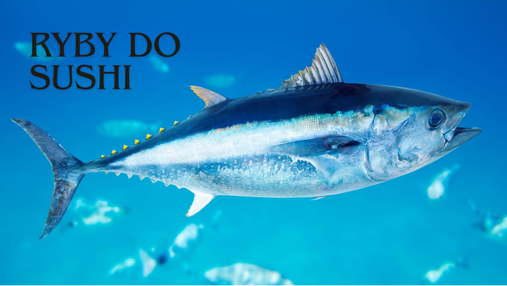 Ryby do Sushi – Esencja Japońskiej Sztuki Kulinarnej 35 Ryby do Sushi – Esencja Japońskiej Sztuki Kulinarnej