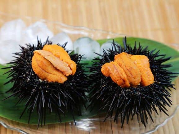 Luksusowe Dodatki do Sushi - Smak i Styl 5 Jeżowiec do sushi