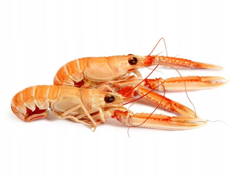 Owoce Morza w Sushi – Wyrafinowany Smak i Tradycja 3 langustynki do sushi