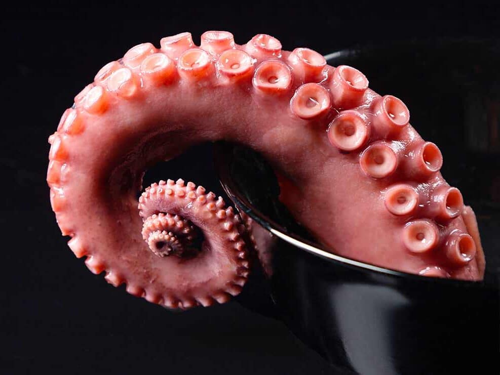 Owoce Morza w Sushi – Wyrafinowany Smak i Tradycja 6 ośmiornica do sushi